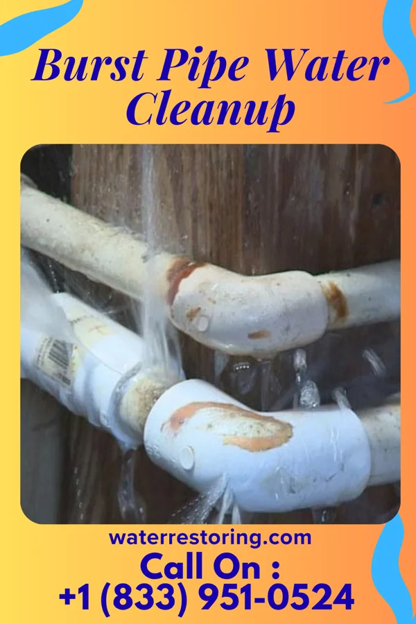 Burst Pipe Water Cleanup in Stoughton, WI