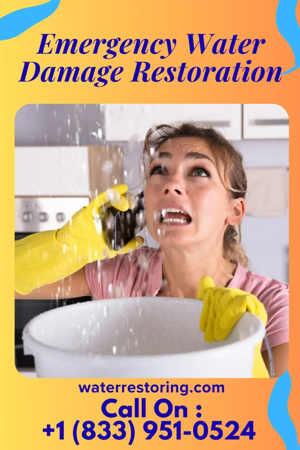 Emergency Water Damage Restoration in Stoughton, WI