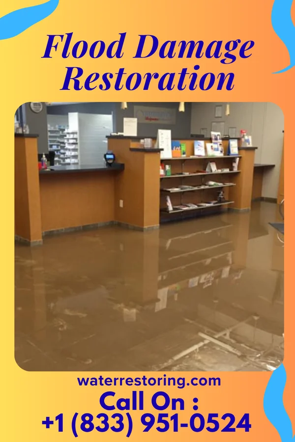 Flood Damage Restoration in Stoughton, WI