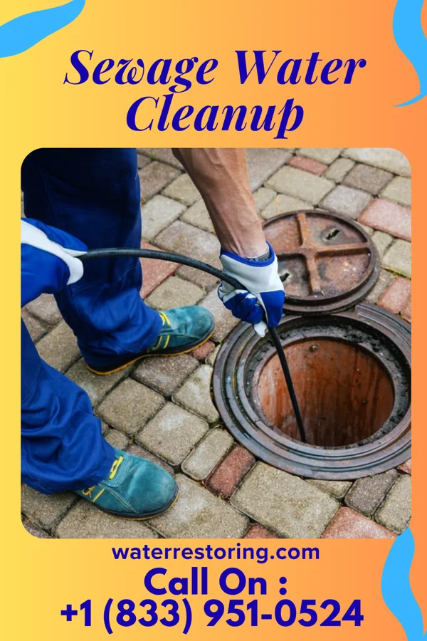 Sewage Water Cleanup in Stoughton, WI